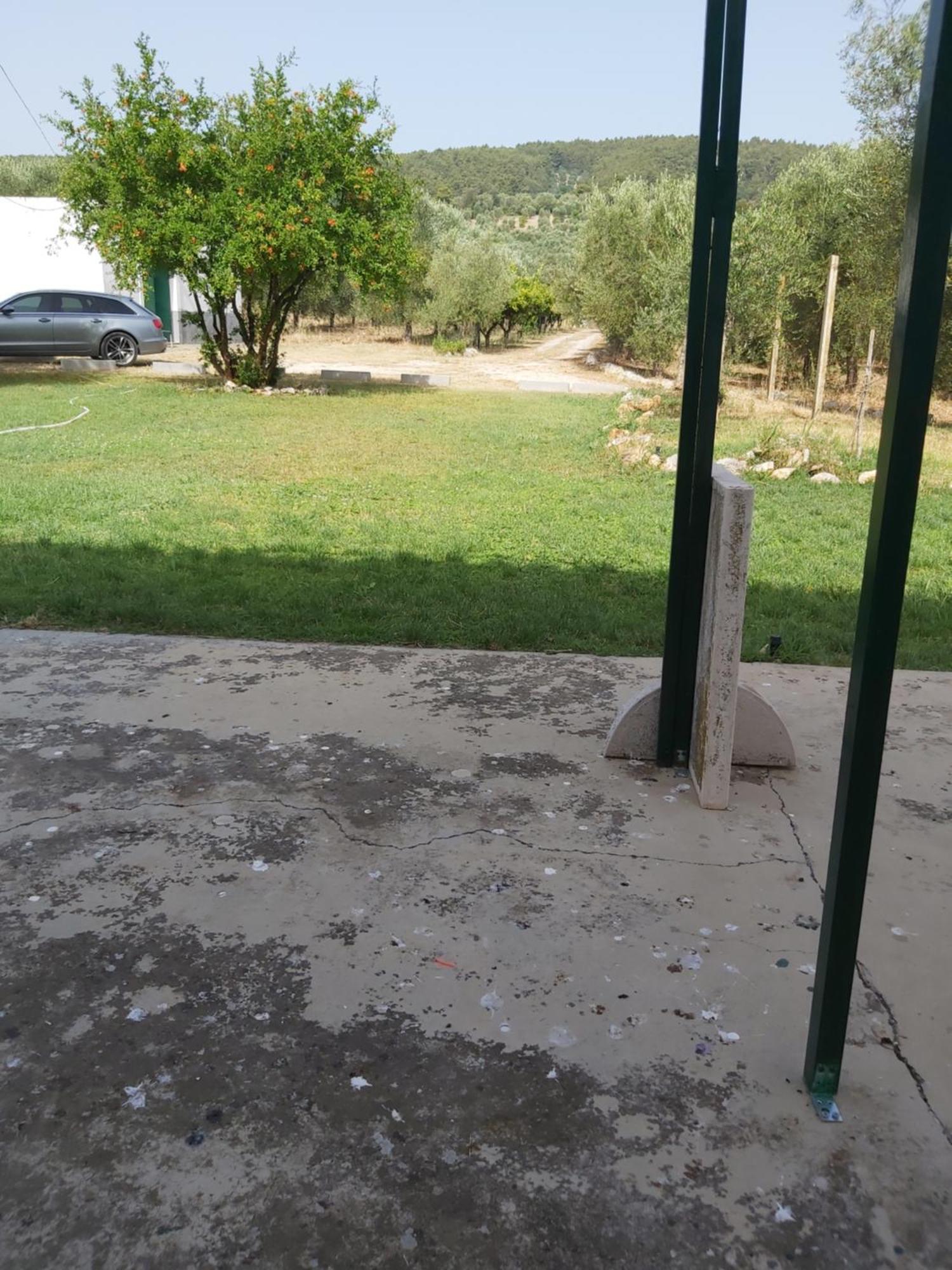 Casa Colonica Di Campagna Come Era Una Volta Peschici Chambre photo